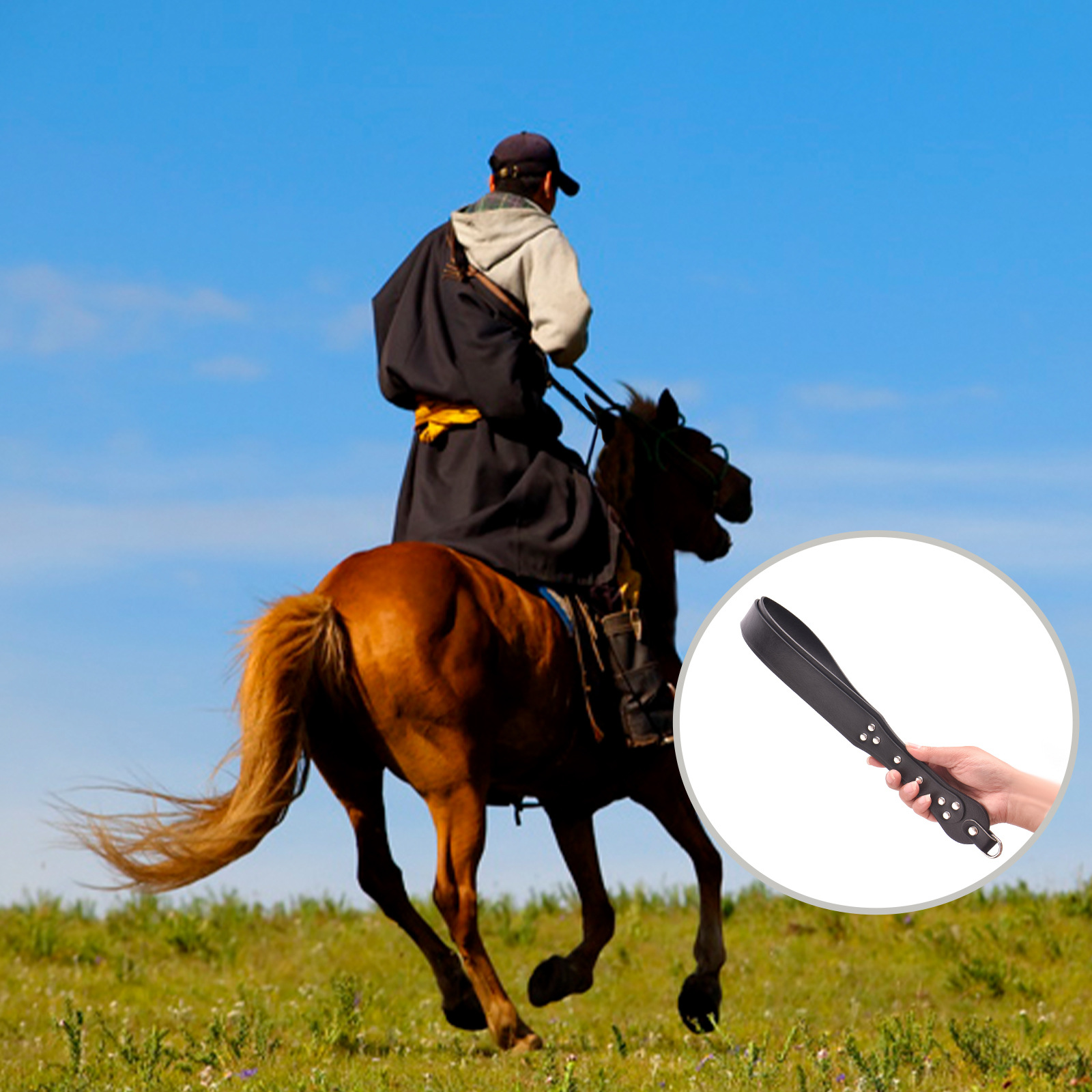 Reitgerte aus PU-Leder für Dre – Riding Crop Dressage Bewertung und Preis