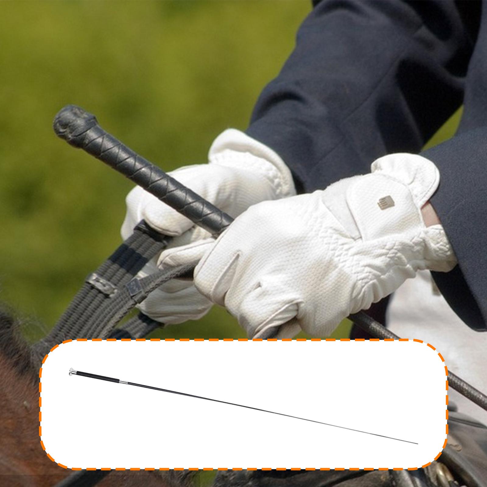 Reitgerte Verstellbare Trainin – Riding Crop Dressage Bewertung und Preis
